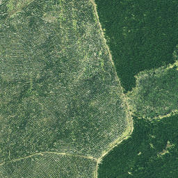 Satellite imagery of 3261, NZ