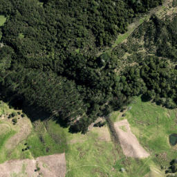 Satellite imagery of 3361, NZ