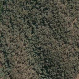 Satellite imagery of Wallaby Mine, AU