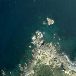 Satellite imagery of Elephant Point, NZ