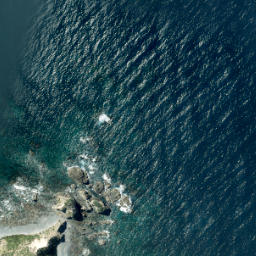 Satellite imagery of Elephant Point, NZ
