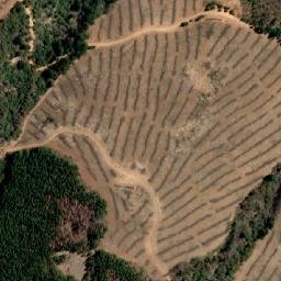 Satellite imagery of Cerro Guallipén, CL