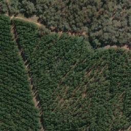 Satellite imagery of Wallaby Mine, AU
