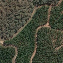 Satellite imagery of Wallaby Mine, AU