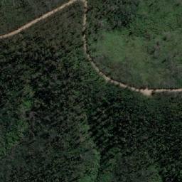 Satellite imagery of Narira Mountain, AU
