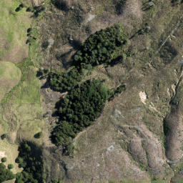 Satellite imagery of 3361, NZ