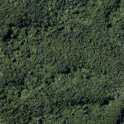 Satellite imagery of A (Kawau SD), NZ