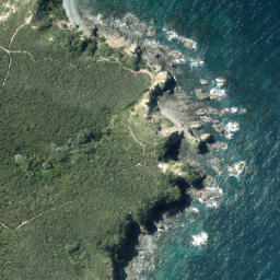 Satellite imagery of Elephant Point, NZ