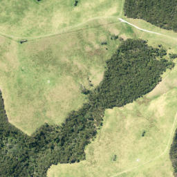 Satellite imagery of O15, NZ