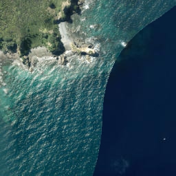 Satellite imagery of Elephant Point, NZ