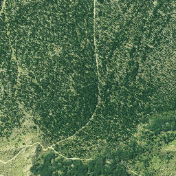 Satellite imagery of 3262, NZ