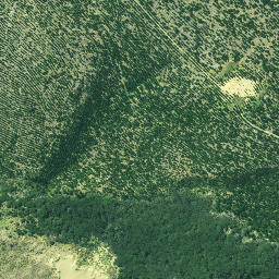 Satellite imagery of 3262, NZ