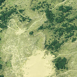 Satellite imagery of 3262, NZ