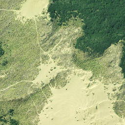 Satellite imagery of 3262, NZ