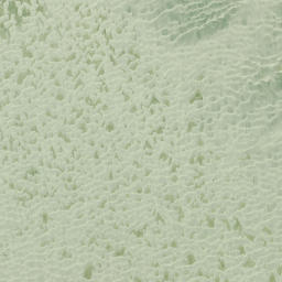 Satellite imagery of North Head, NZ