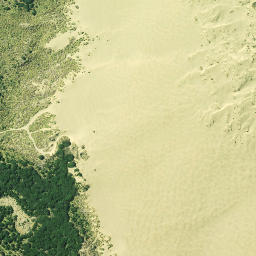 Satellite imagery of Kaipara Head, NZ