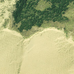 Satellite imagery of Kaipara Head, NZ