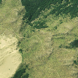 Satellite imagery of Kaipara Head, NZ