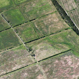 Satellite imagery of Te Ngaio Point, NZ