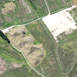 Satellite imagery of Te Ngaio Point, NZ