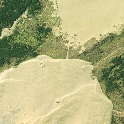 Satellite imagery of Kaipara Head, NZ