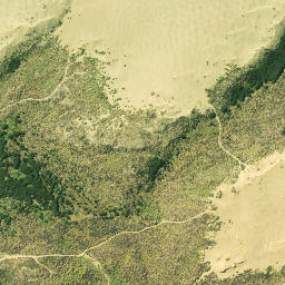 Satellite imagery of Kaipara Head, NZ