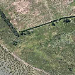 Satellite imagery of Te Ngaio Point, NZ
