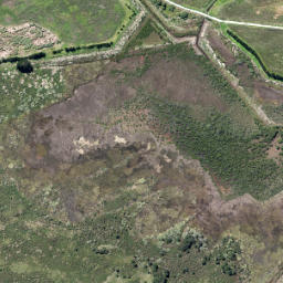 Satellite imagery of Te Ngaio Point, NZ