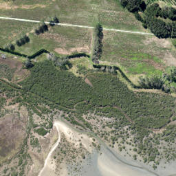 Satellite imagery of Te Ngaio Point, NZ