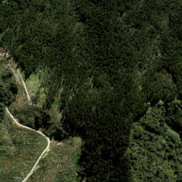 Satellite imagery of 624 SALTS HILL, NZ