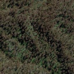 Satellite imagery of Mount Youngal, AU