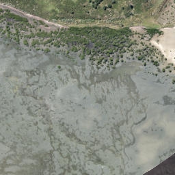 Satellite imagery of Te Ngaio Point, NZ