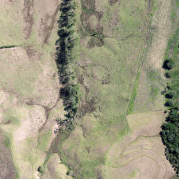 Satellite imagery of O PUKEKOHUHU, NZ