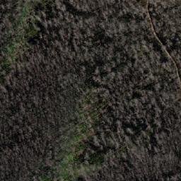 Satellite imagery of Mount Youngal, AU