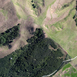 Satellite imagery of O PUKEKOHUHU, NZ