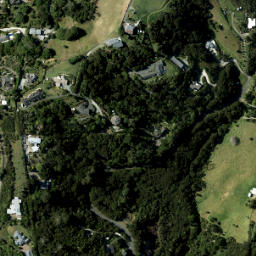 Satellite imagery of 3441, NZ