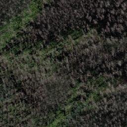 Satellite imagery of Mount Youngal, AU