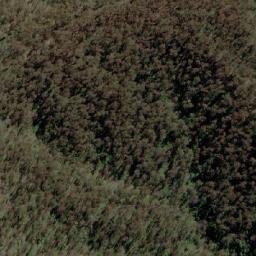 Satellite imagery of Mount Youngal, AU