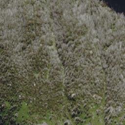 Satellite imagery of Mount Sentinel, AU