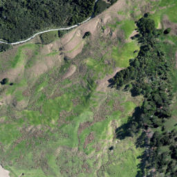 Satellite imagery of O PUKEKOHUHU, NZ