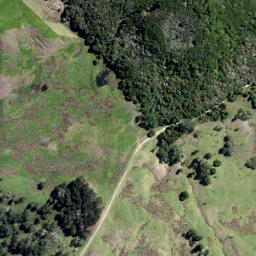 Satellite imagery of O PUKEKOHUHU, NZ