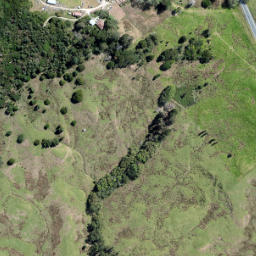 Satellite imagery of O PUKEKOHUHU, NZ