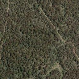 Satellite imagery of Crackenback Peak, AU