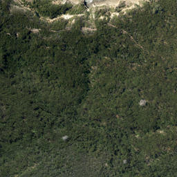 Satellite imagery of Slater Point, NZ