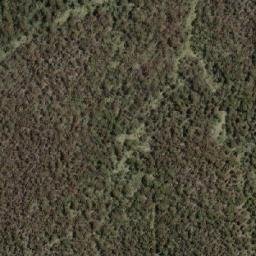 Satellite imagery of Crackenback Peak, AU