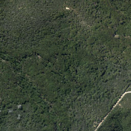 Satellite imagery of Slater Point, NZ