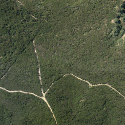 Satellite imagery of Slater Point, NZ
