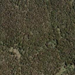 Satellite imagery of Crackenback Peak, AU