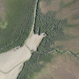 Satellite imagery of Breach Point, NZ