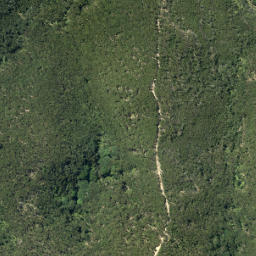 Satellite imagery of Fowler Point, NZ